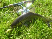 DSC00840.jpg