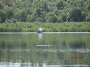 IMG_0458.JPG
