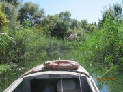 IMG_0464.JPG