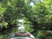 IMG_0468.JPG