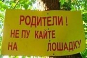 1284635427_1252673944_fotoprikol_047.jpg