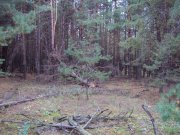 DSC02553.JPG