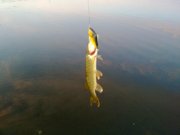 18092010115н.JPG