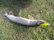19092010116н.JPG