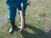 19092010117н.JPG