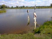 19092010118н.JPG