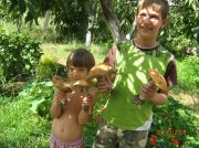 киев 2009 008.jpg