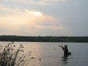 IMG_6926 1.JPG