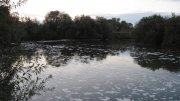 IMG_0675.jpg