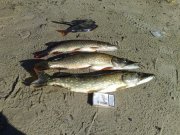 22092010069.jpg