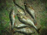 22092010123н.JPG