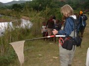 electrofishing-scientist-2[1].jpg