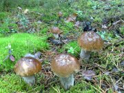 16092010425.jpg