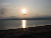 IMG_4611.jpg