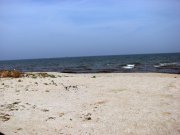 IMG_4654.jpg
