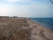 IMG_4639.jpg