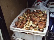 DSC02586.JPG