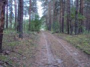 DSC02588.JPG