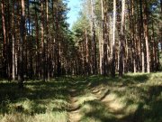 P1010003.jpg