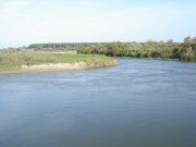 DSC00475_1.jpg