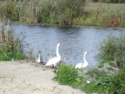 DSC00494_1.jpg