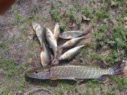 23092010125н.JPG