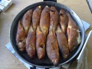 24092010128н.JPG