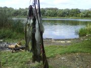 DSC00329.JPG