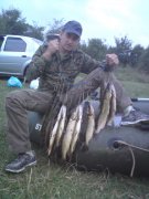 DSC00498.jpg