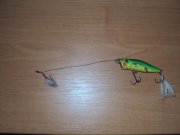 DSC02612.JPG