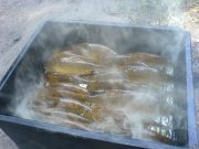 DSC01356.JPG