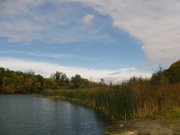 IMG_2964.JPG