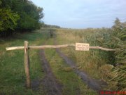 DSC00178.JPG
