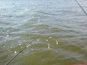 DSC00186.JPG