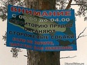 0__2_20090402_1911954813_144.jpg