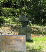 808068_81278_831.jpg