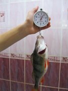 карачуни 015.jpg