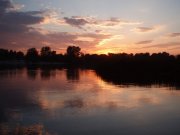 P1010034.jpg