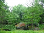 IMG_1221.jpg