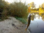 14102010133н.JPG