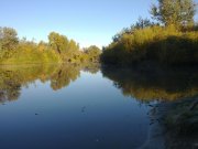 14102010134н.JPG