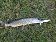 17102010137н.JPG