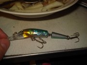 DSC00141.jpg