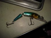 DSC00139.jpg