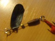 DSC03474.JPG