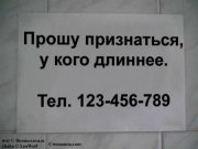 1287438223_10.jpg
