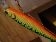 DSC00144.jpg