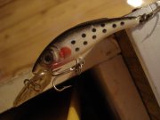 DSC00145.jpg