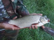 DSCF2717.jpg