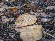 DSC02048.jpg
